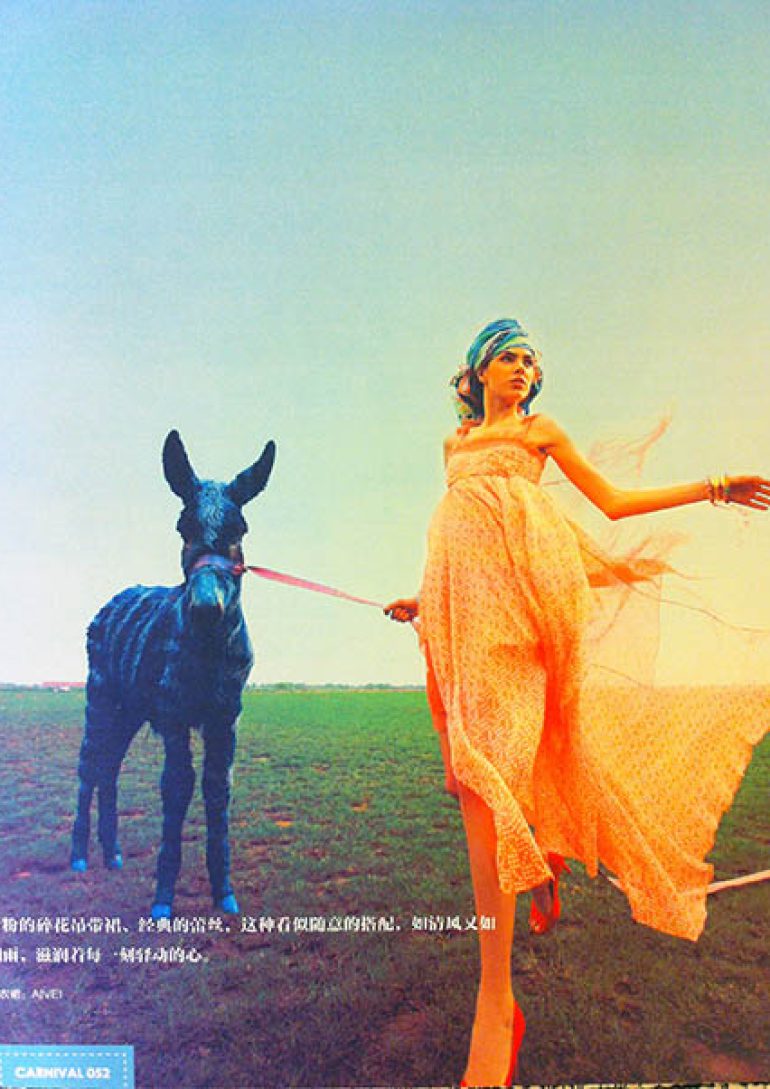 Rada Knezevic book photo