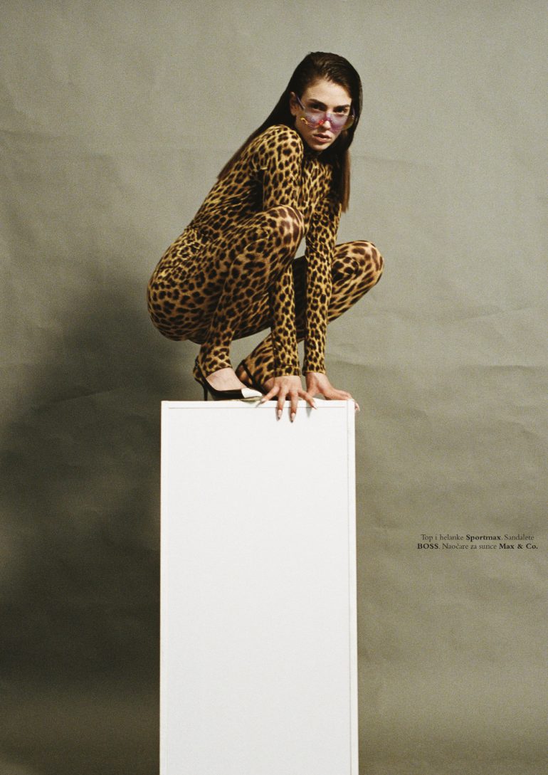 Dan Danicic book photo