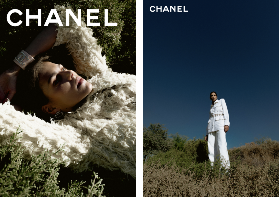 Amelia Roman book photo