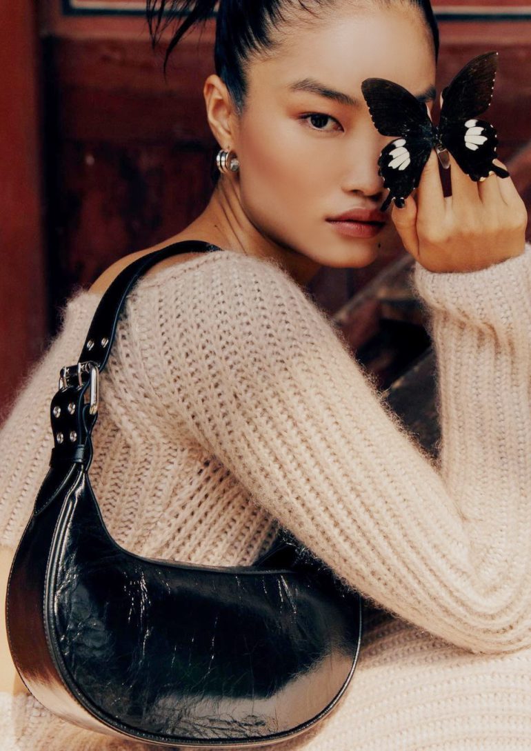 Diana Li book photo