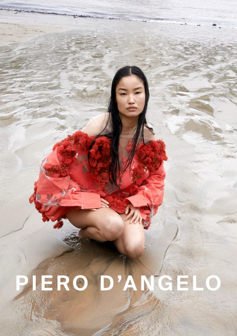 Diana Li book photo