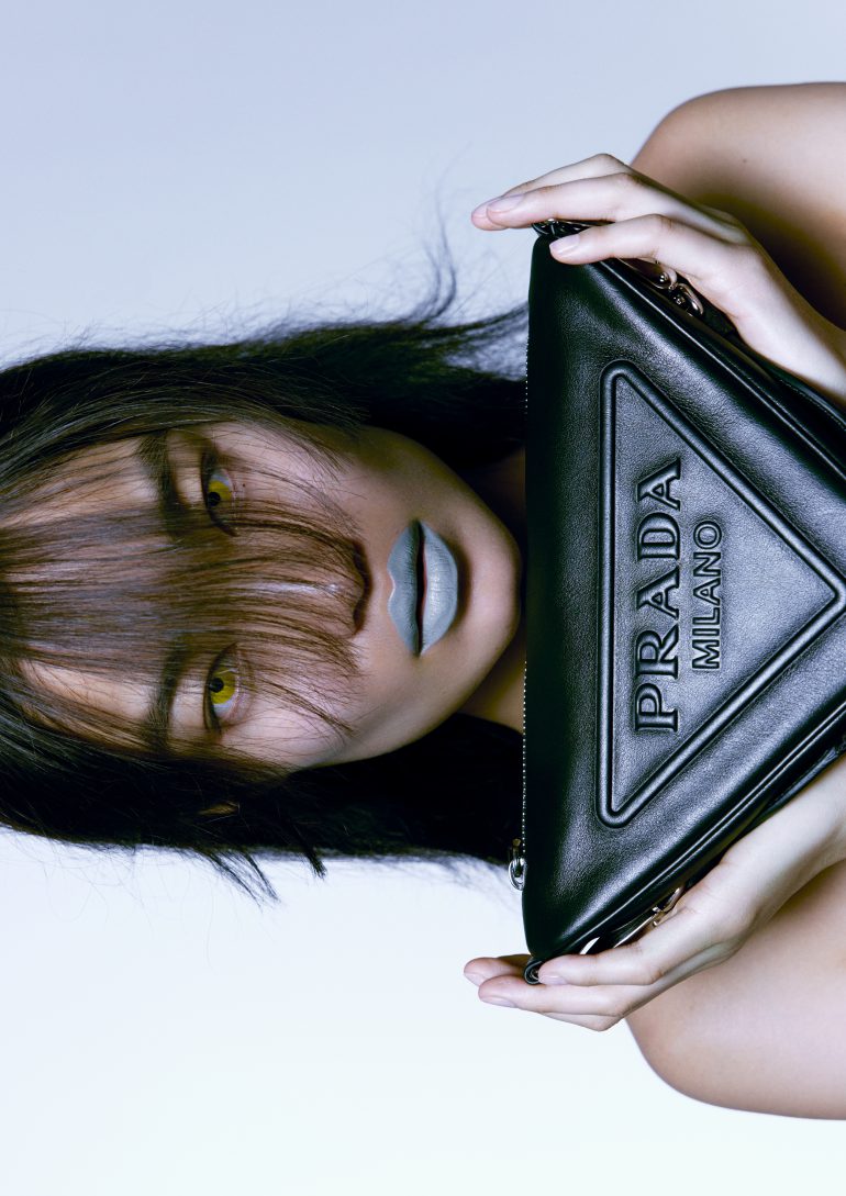 Diana Li book photo