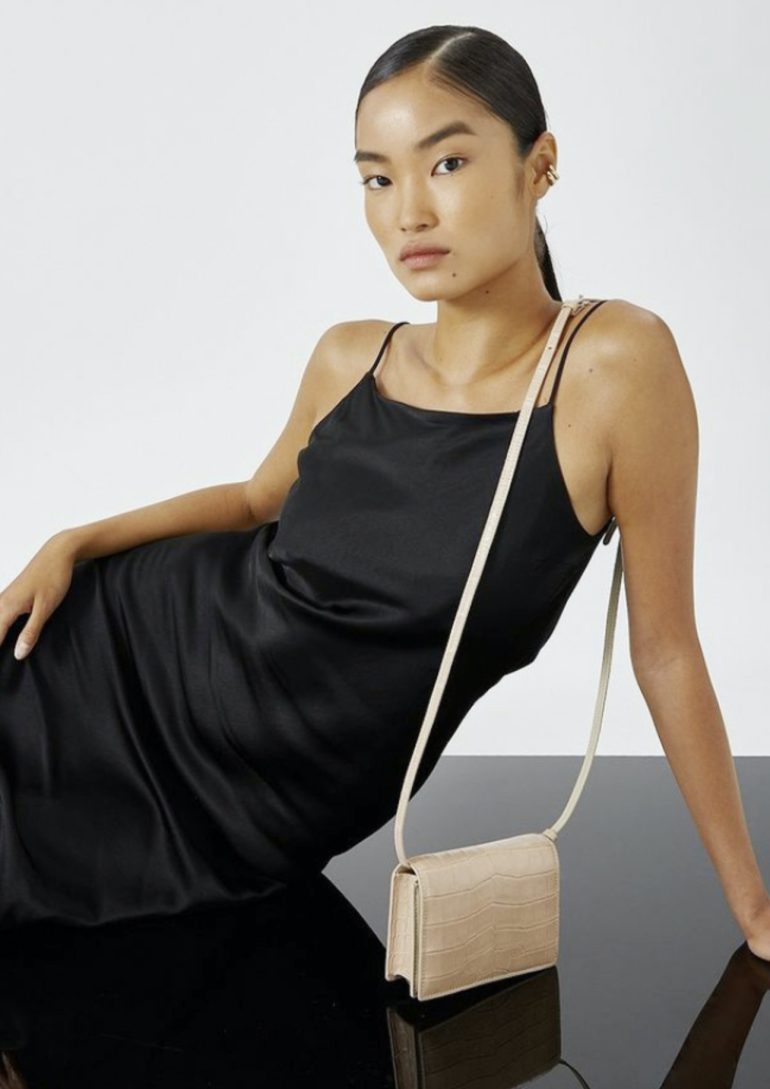Diana Li book photo