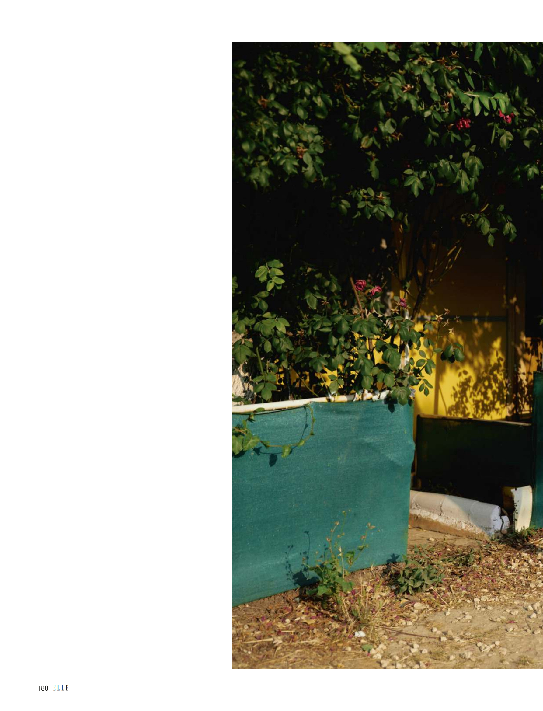Candice Brink for Elle July Issue news photo