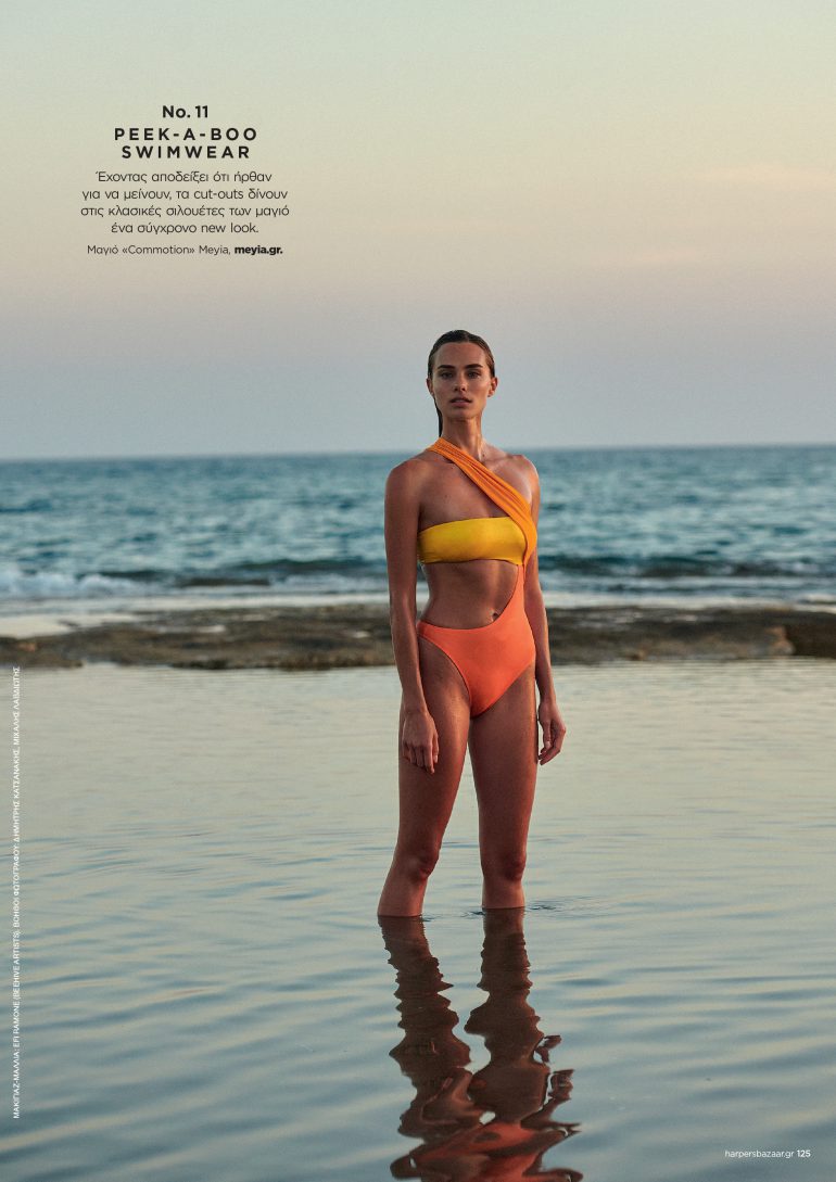 Nicol Apollonio book photo