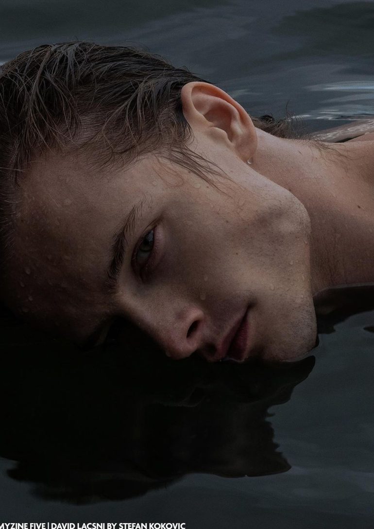 David Lacsni book photo