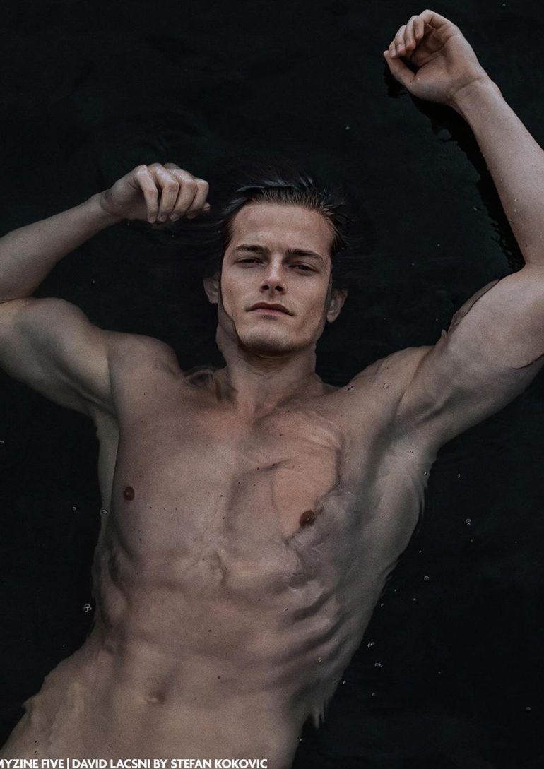 David Lacsni book photo