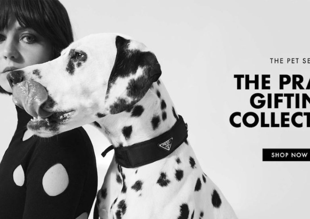 Marta Dyks book photo