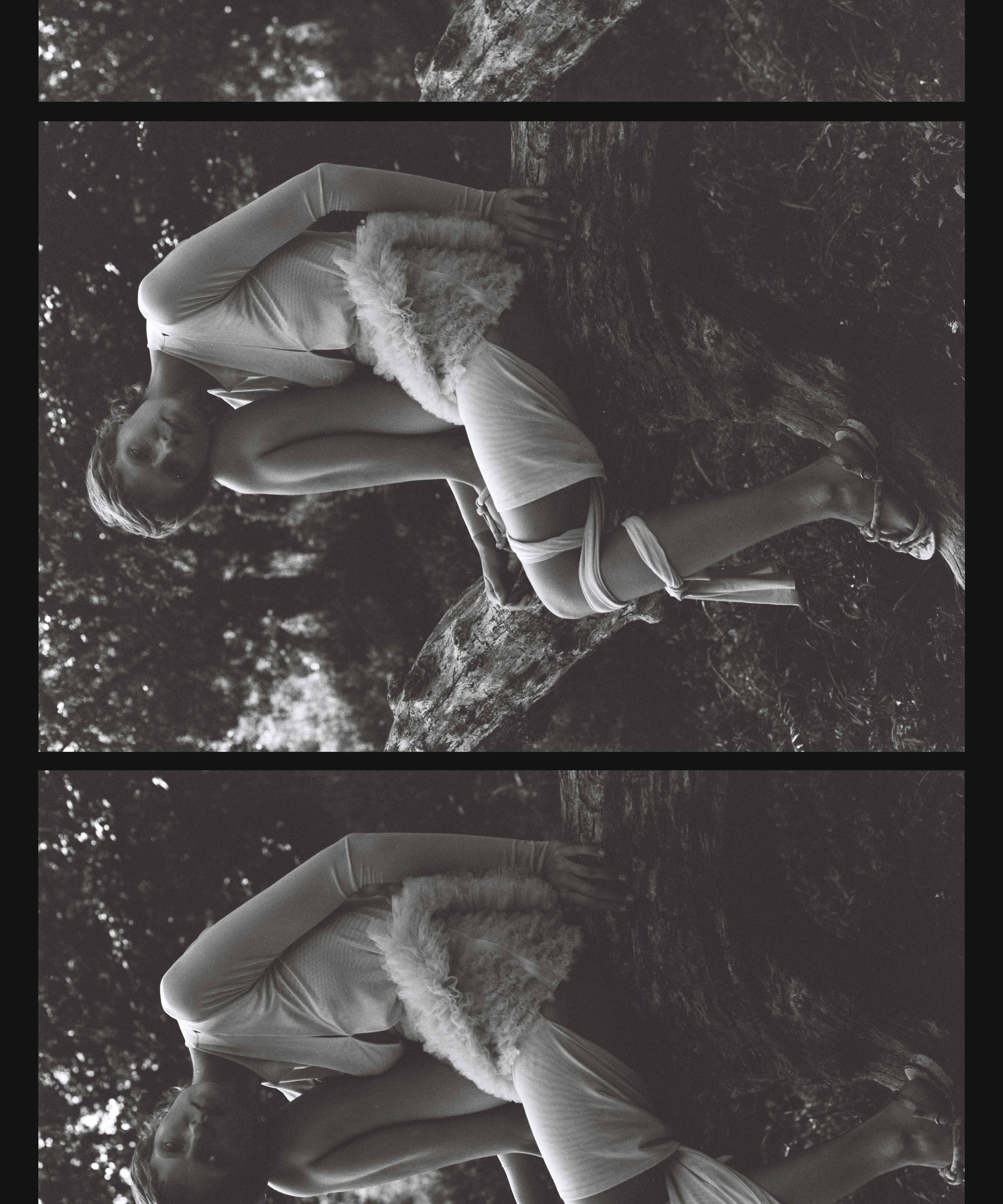 Ann Pavlova for Cake Magazine news photo